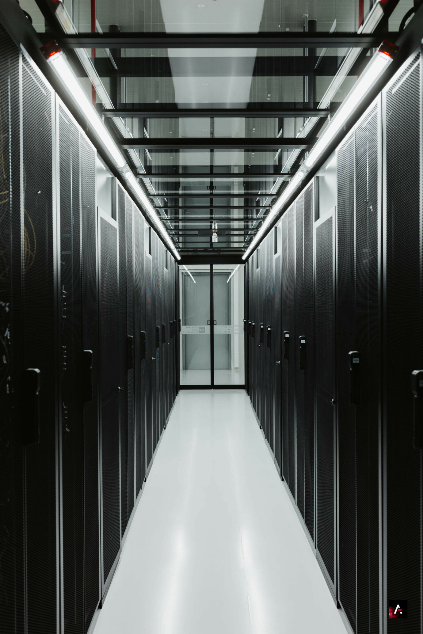 55062569742 277df14970 o