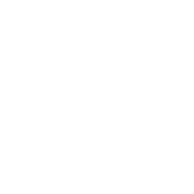 ALSTOM A6 K Members Logo White