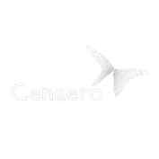 CENAERO A6 K Members Logo White