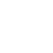 SKYWIN A6 K Members Logo White
